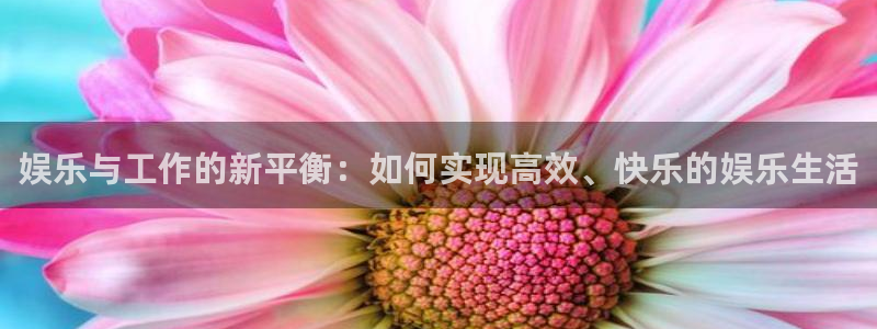 500彩票网2官网：娱乐与工作的新平衡：如何实现高效、快乐的娱乐生活