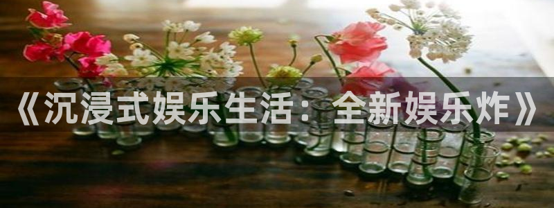 500彩票网：《沉浸式娱乐生活：全新娱乐炸》