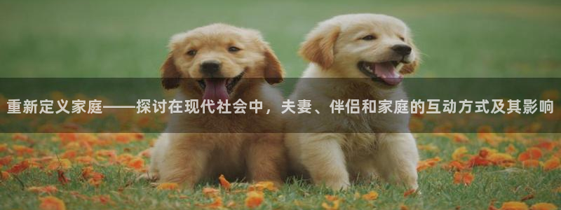 500彩票网体育凯捷平台代理：重新定义家庭——探讨在现代社会中，夫妻、伴侣和家庭的互动方式及其影响