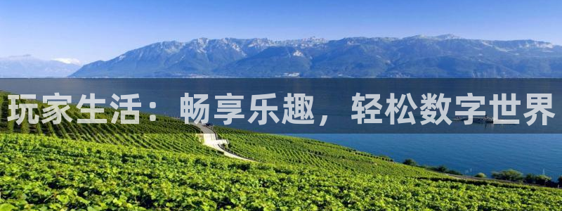 500彩票网4开户：玩家生活：畅享乐趣，轻松数字世界