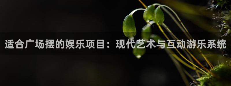 500彩票网电子有限公司：适合广场摆的娱乐项目：现代艺术与互动游乐系统