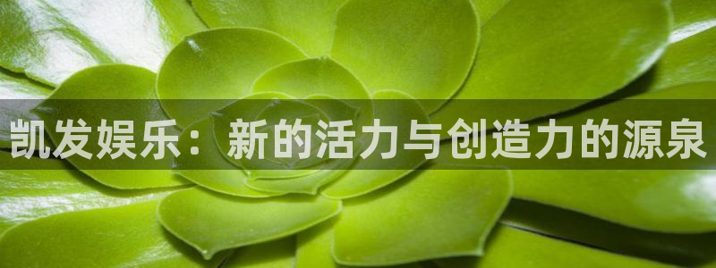 500彩票网体育凯捷平台招商：凯发娱乐：新的活力与创造力的源泉