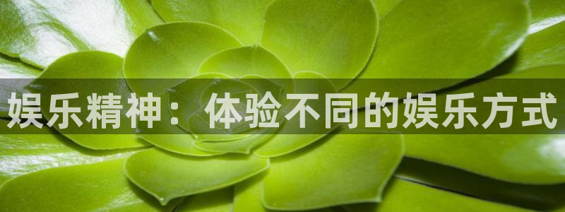 500彩票网体育老板是谁：娱乐精神：体验不同的娱乐方式