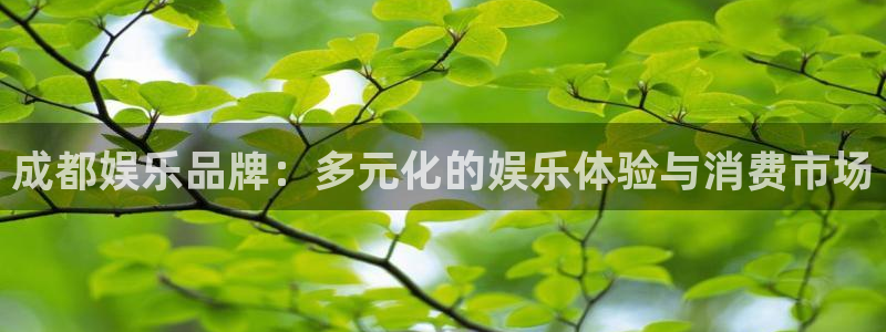 500彩票网包怎么样：成都娱乐品牌：多元化的娱乐体验与消费市场