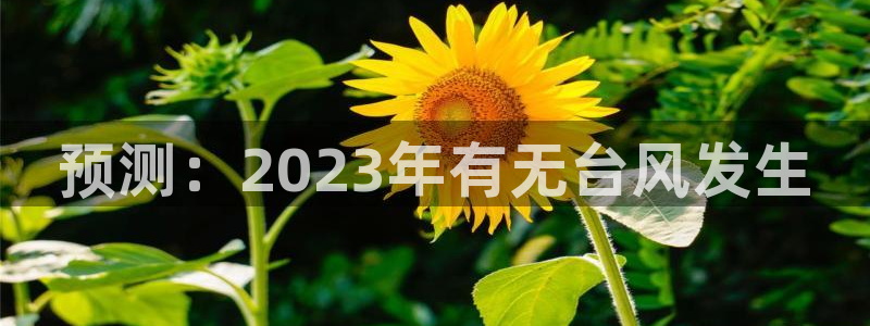 500彩票网体育娱乐注册链接：预测：2023年有无台风发生