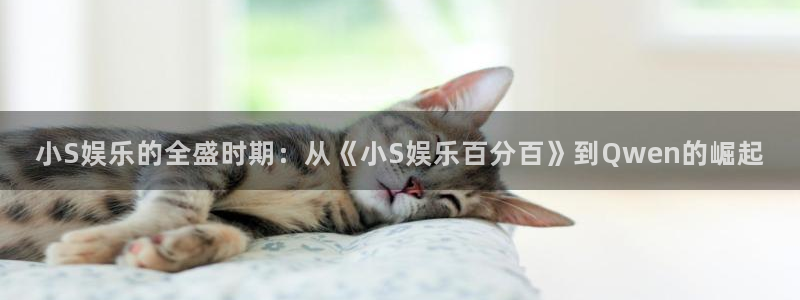 500彩票网电子有限公司：小S娱乐的全盛时期：从《小S娱乐百分百》到Qwen的崛起