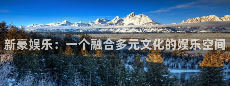 500彩票网平台注册入口：新豪娱乐：一个融合多元文化的娱乐空间