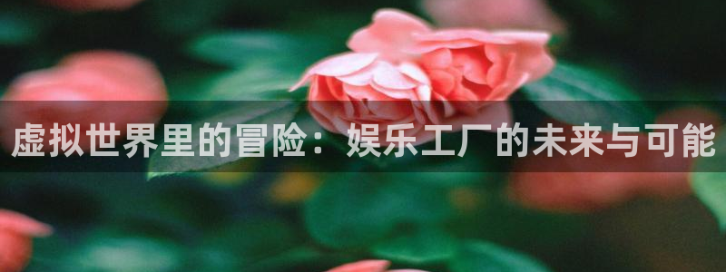 500彩票网2平台：虚拟世界里的冒险：娱乐工厂的未来与可能