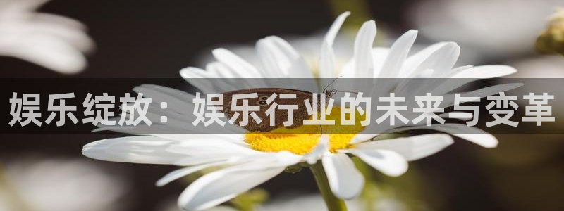 500彩票网4开户：娱乐绽放：娱乐行业的未来与变革