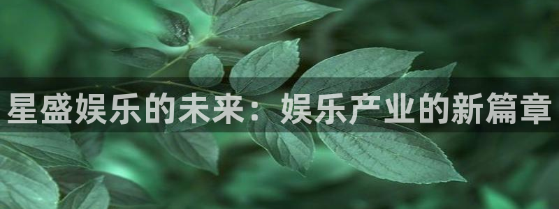 500彩票网体育合法嘛：星盛娱乐的未来：娱乐产业的新篇章
