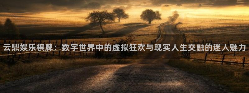 成都500彩票网电子有限公司：云鼎娱乐棋牌：数字世界中的虚拟狂欢与现实人生交融的迷人魅力
