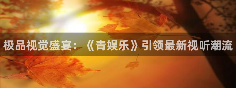 500彩票网平台开户：极品视觉盛宴：《青娱乐》引领最新视听潮流