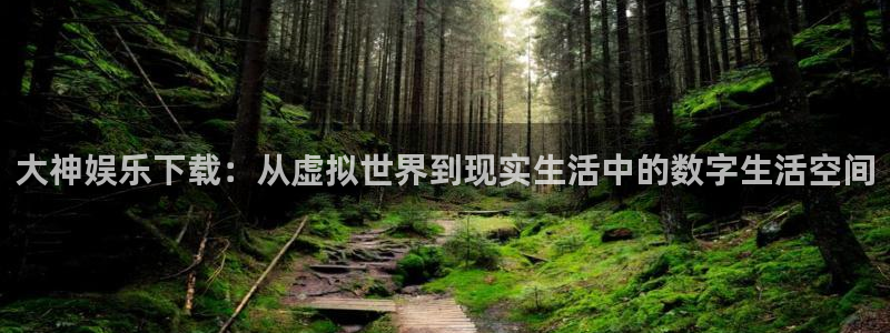 500彩票网f凯捷注册：大神娱乐下载：从虚拟世界到现实生活中的数字生活空间