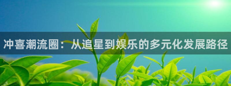 500彩票网体育3：冲喜潮流圈：从追星到娱乐的多元化发展路径