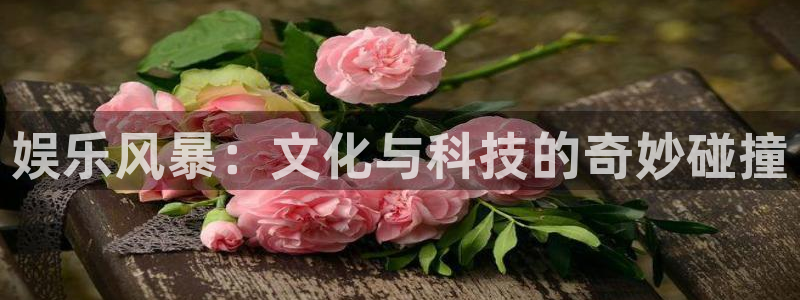 500彩票网体育用品：娱乐风暴：文化与科技的奇妙碰撞